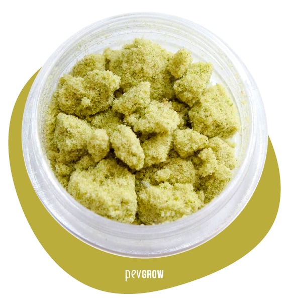 Image of Kief ready to press and turn into Rosin*