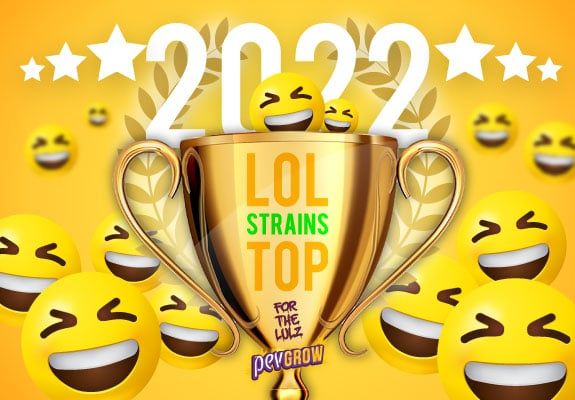 Image d'une coupe de cannabis entourée d'emojis rieurs représentant les meilleures souches de marijuana pour en rire en 2022.