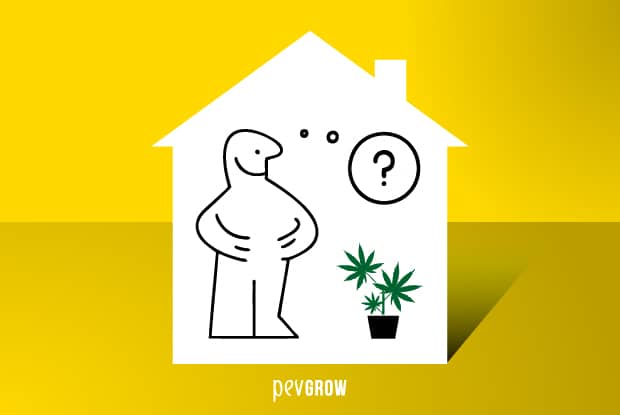 Dessin représentant un cultivateur dans une maison qui doute comment commencer à cultiver du cannabis.