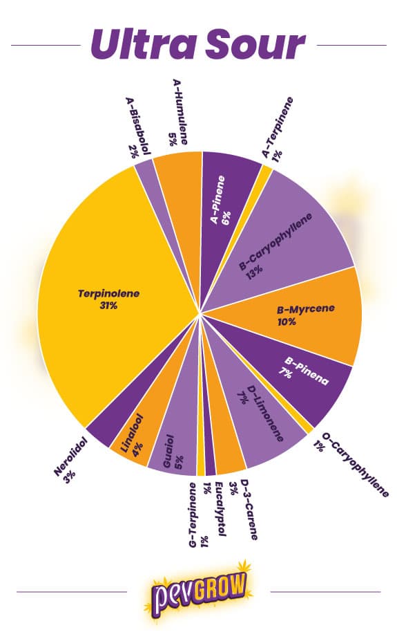 *Resultados de un análisis de terpenos de la variedad Ultra Sour*