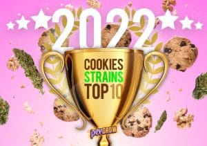 Ranking de las mejores variedades Cookies de la actualidad