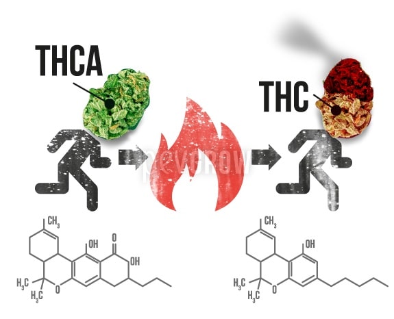 Infografik zur Umwandlung von THCA in THC durch Hitze*