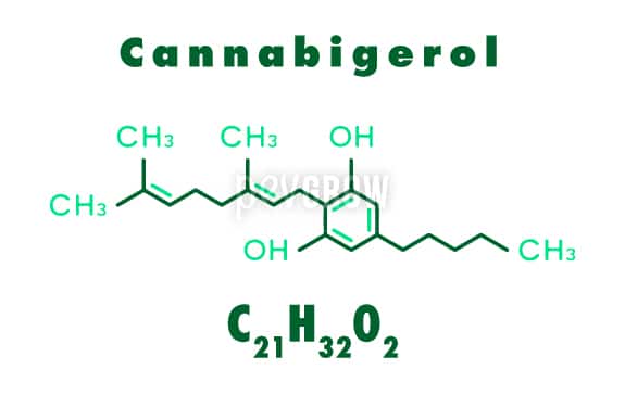 Graphic representing the molecule of Cannabigerol*.
