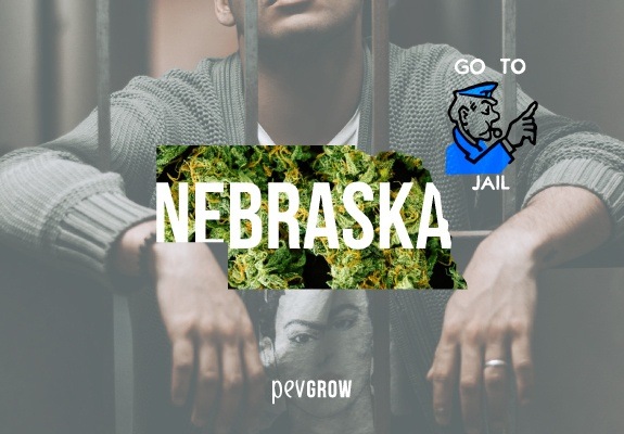 Map of Nebraska filled with marijuana plants with a background of a man in prison