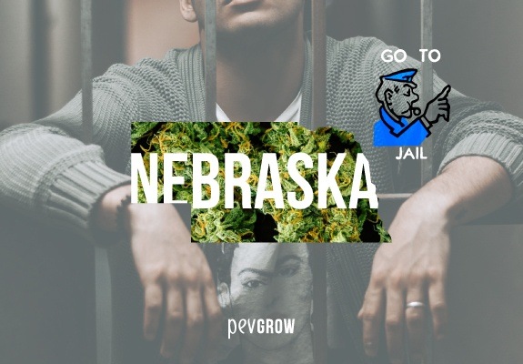 Mapa de Nebraska relleno de plantas de marihuana con un fondo de un hombre encarcelado 