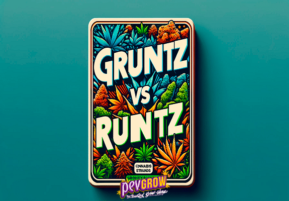 Une boîte métallique avec les mots Gruntz Vs Runtz écrits au-dessus de plusieurs images de plantes de cannabis de différentes couleurs