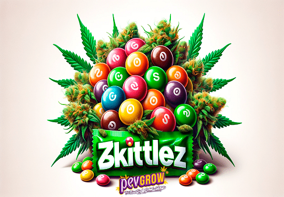 Zkittlez Original: The Flavor Explosion in the World of Cannabis.