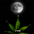 Calendrier lunaire 2022 pour cultiver du cannabis