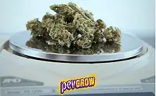 Digitalvågar och precisionsvågar