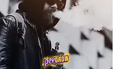 Vaporizadores de marihuana