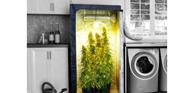 Kits de Cultivo, Riego y Secado
