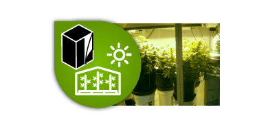 Armarios de cultivo e invernaderos
