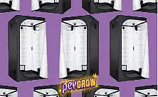 Шкафы для выращивания в помещении