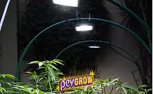 Осветление за растения