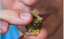 Eliminador de cheiros de marihuana
