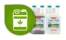 Engrais cannabis