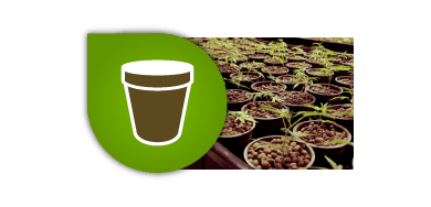 Macetas-Bandejas-Mesas para el cultivo