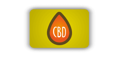 Graines de cannabis avec contenu élevé en CBD