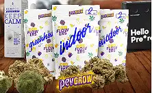 CBD Mağazası: Her İhtiyaca Uygun Premium CBD Ürünler