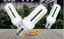 ESL Grow Lampe