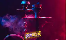 Cachimbas et Shishas