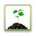 Otros fertilizantes de cannabis Otros fertilizantes de cannabis