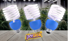 Low Consumption Lighting Kits