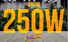 Комплект світла 250 Вт