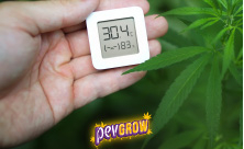 Temperaturregler/Timer
