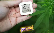 Temporizadores de Luz para Cultivo