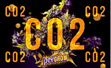 CO2 for plants