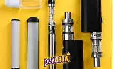 Waporyzatory przenośne