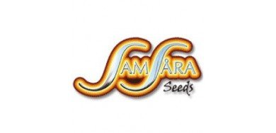 Samsara Seeds