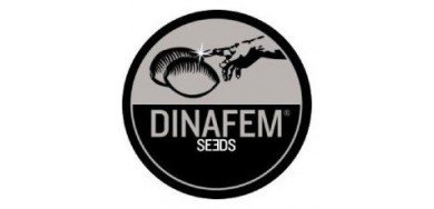 Dinafem Seeds