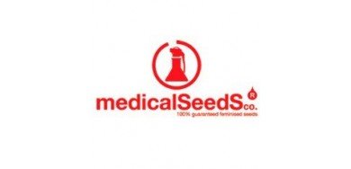 Medical Seeds