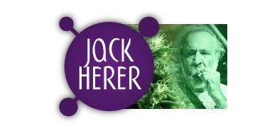 Jack Herer