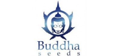 Buddha Seeds