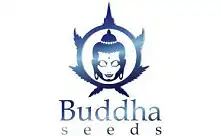 Buddha Seeds Bank: hochwertige feminisierte Samen
