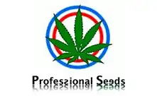Professional Seeds: 100% ECOLOGICAL marijuana