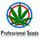 Professional Seeds