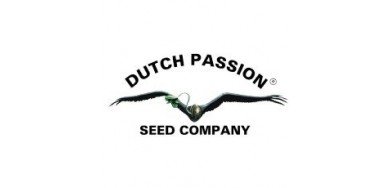 Dutch Passion