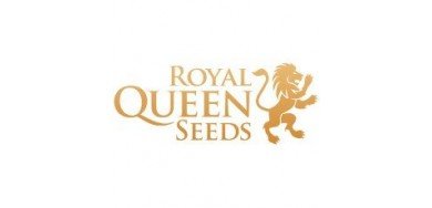 Royal Queen Seeds