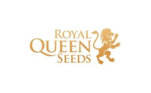 Royal Queen Seeds