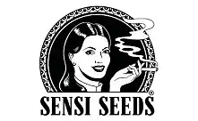 Sensi Seed → Günstige feminisierte Dutch-Sorten