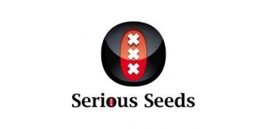 Serious Seeds