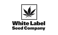 White Label by Sensi Seeds Variétés féminisées