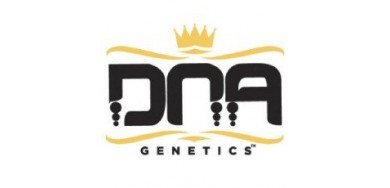 DNA Genetics