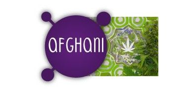 Afghani