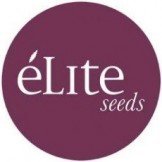 Elite Seeds