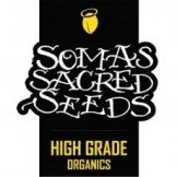 Soma Seeds